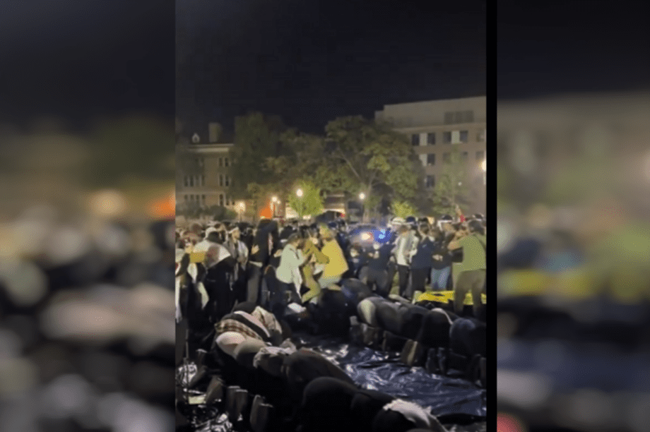 διαδηλωτές