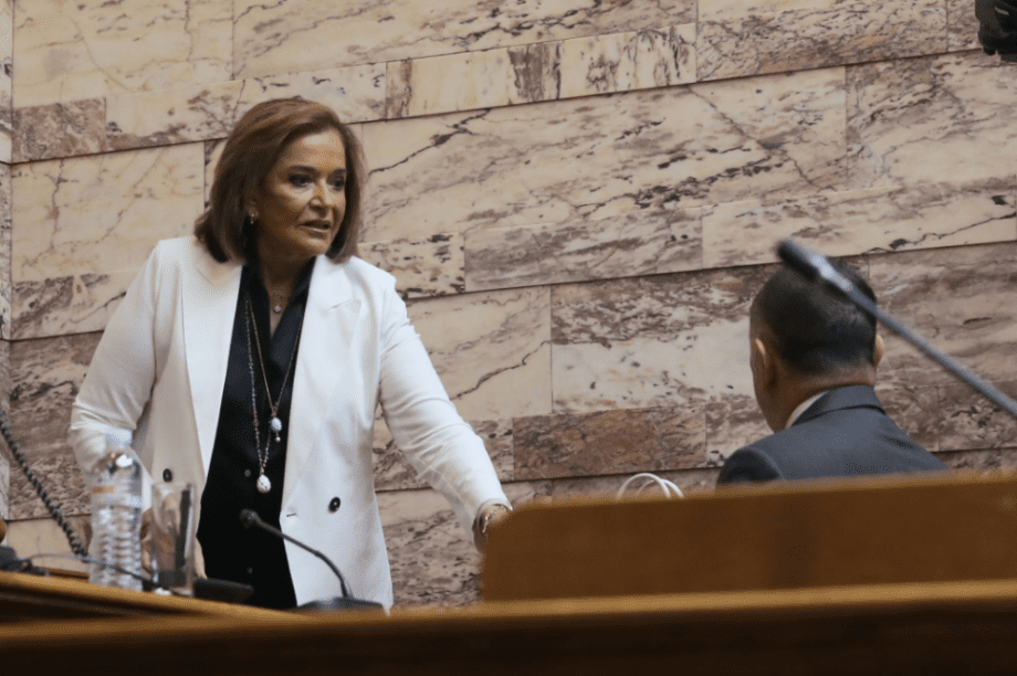 Μπακογιάννη Βουλή Γεραπετρίτης