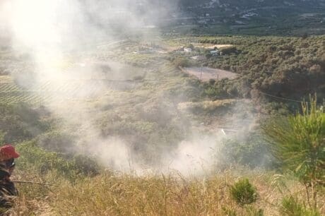 Φωτιά Δαφνές