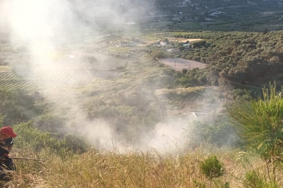 Φωτιά Δαφνές