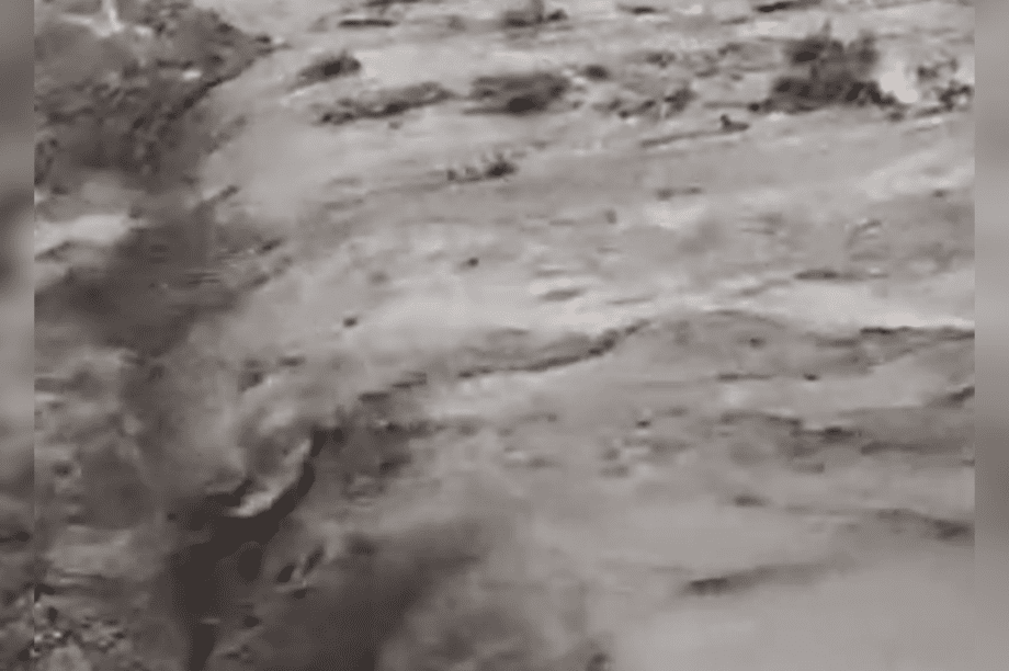 Λέντας βροχή