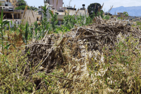 ακαθάριστα οικόπεδα κρήνη κορωνη μαγαρα
