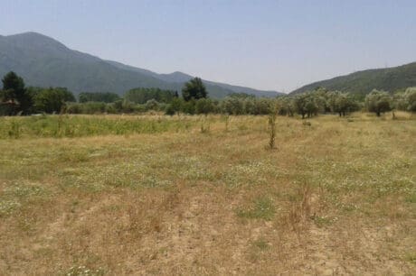οικόπεδο