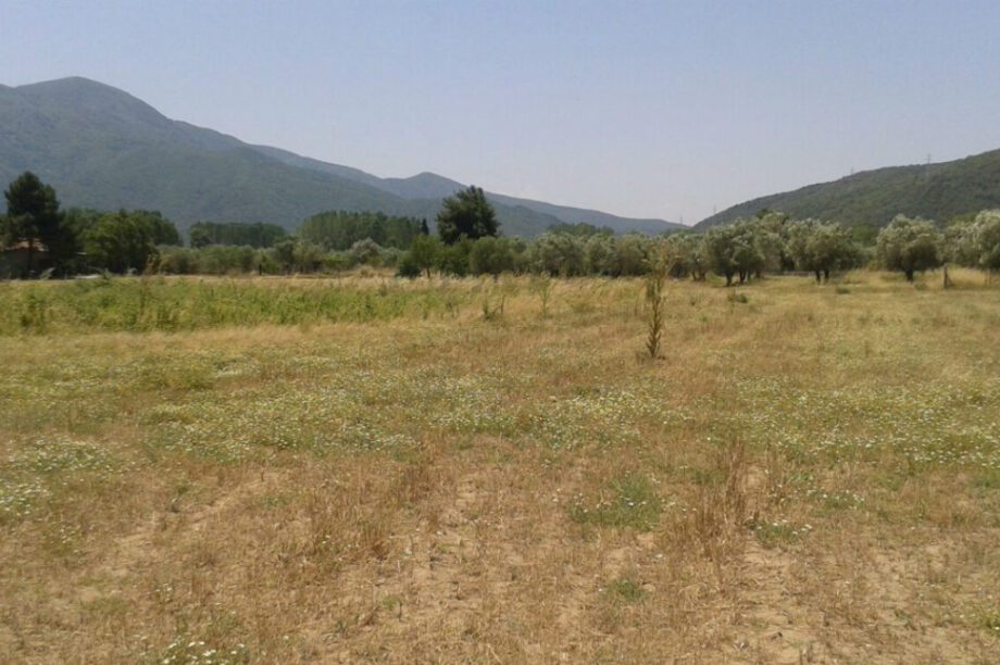 οικόπεδο