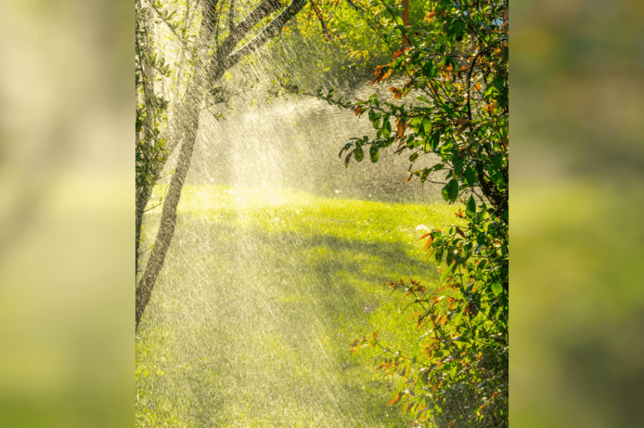 βροχή καιρός