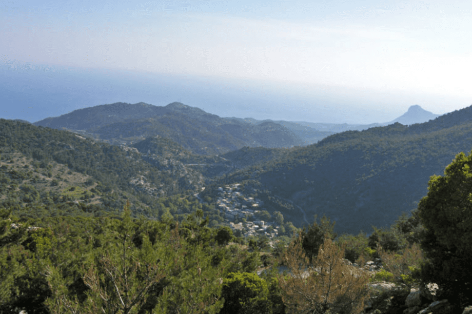 Δάσος Σύμης Βιάννος