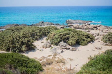 Φαλάσαρνα