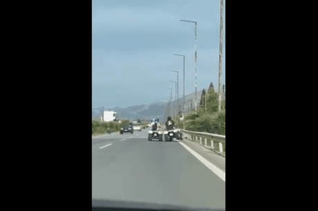 γουρούνες τροχαίο