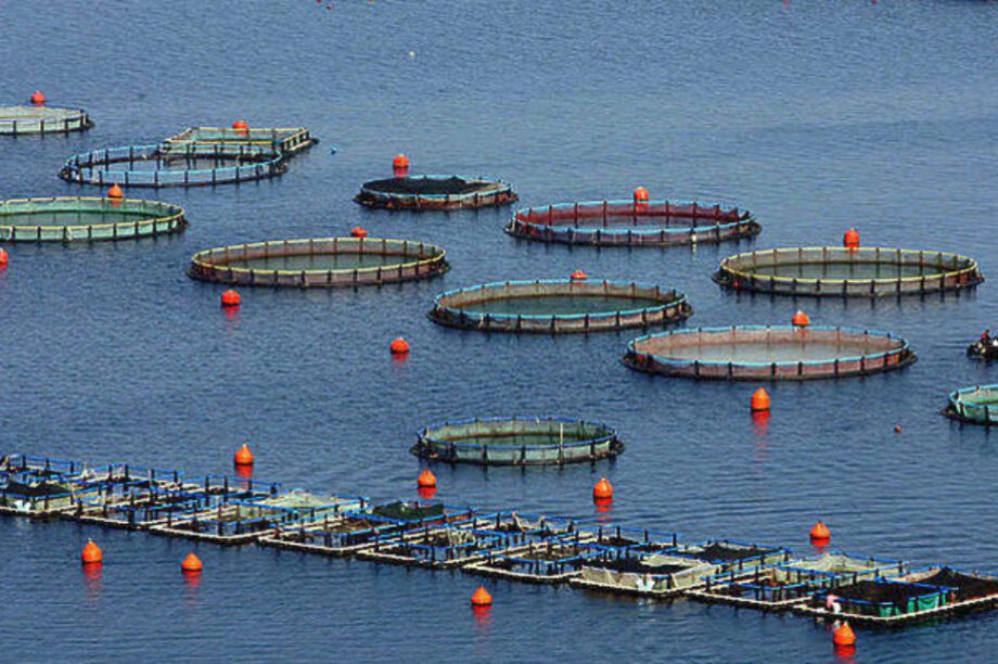 ιχθυοκαλλιέργεια