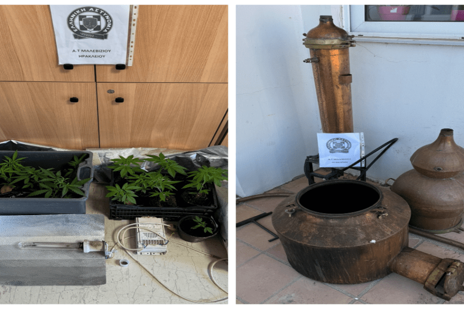 κάνναβη ρακοκάζανο