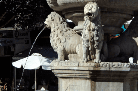 Λιοντάρια