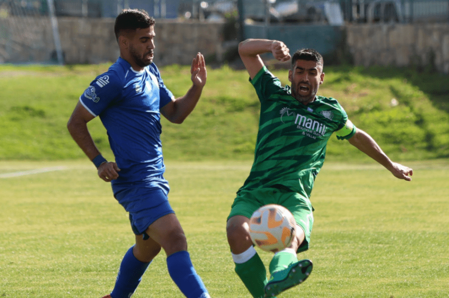 Μηνάς Τζανής