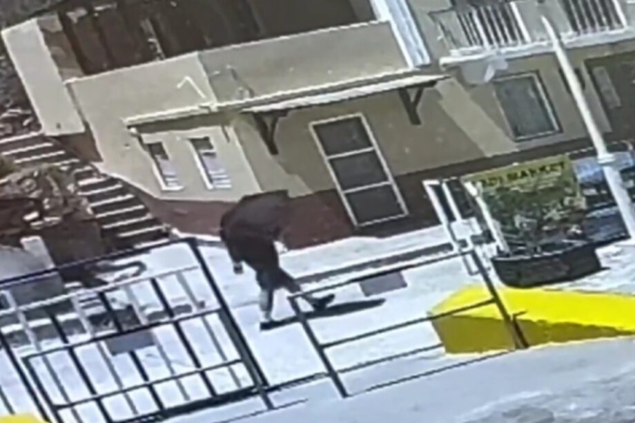 βίντεο Μόσλεϊ