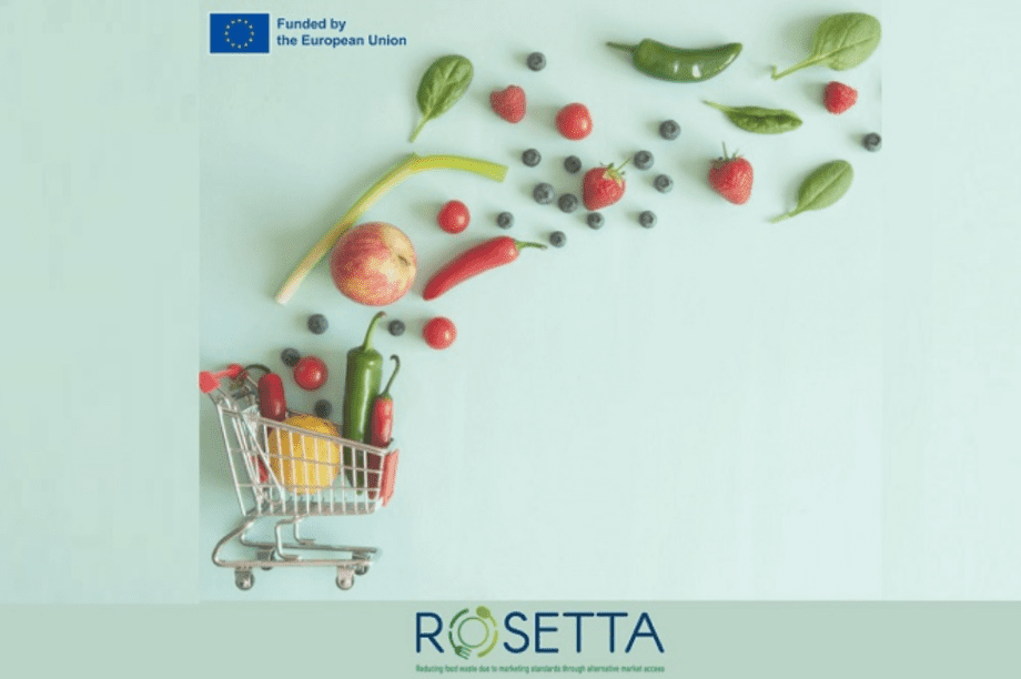 Χαλκιαδάκης_Rosetta