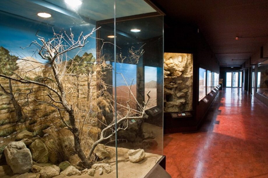 Μουσείο Φυσικής Ιστορίας