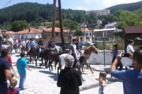 άλογα Κοζανη
