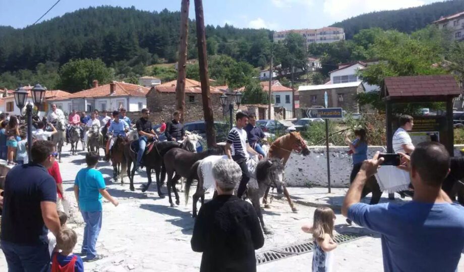 άλογα Κοζανη