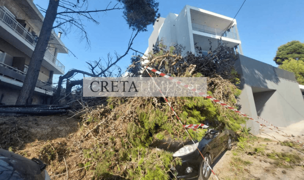 πτώση δέντρου Ηράκλειο