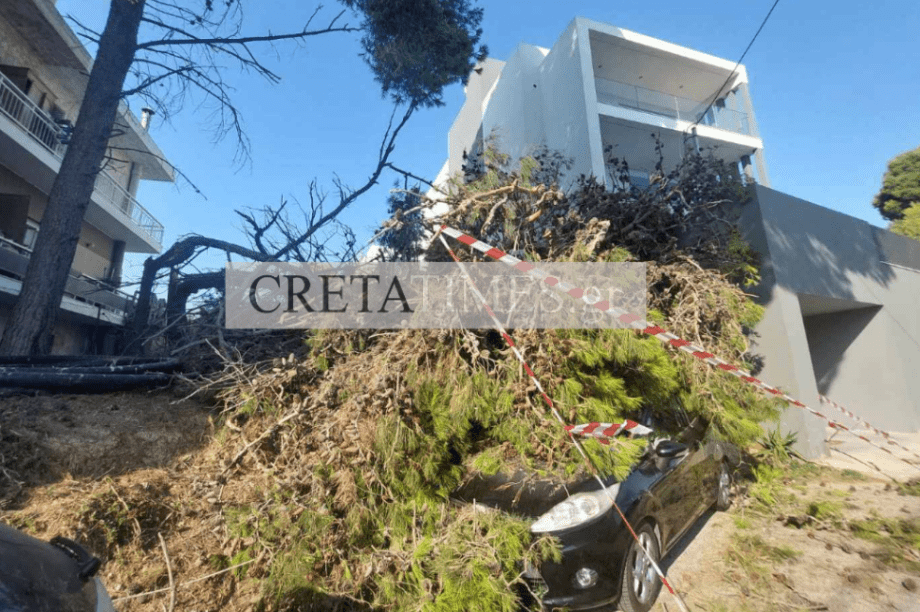 πτώση δέντρου Ηράκλειο