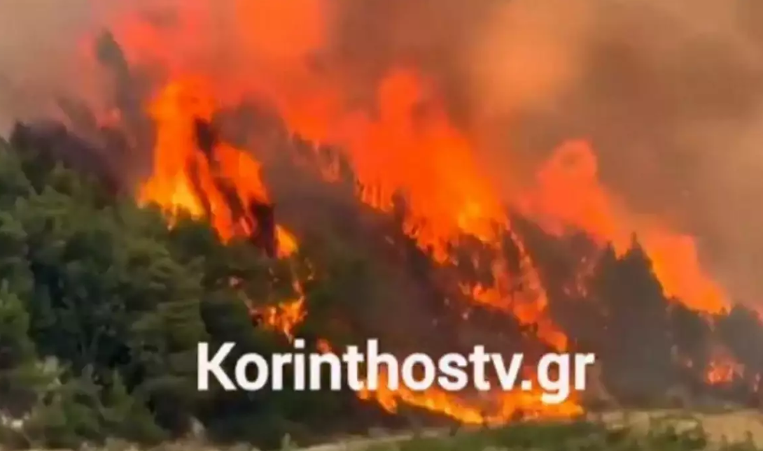 Φωτιά Ηλεία