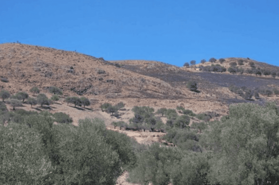 πυρκαγιά στους Αγίους Δέκα