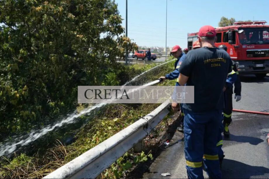 φωτιά άλσος