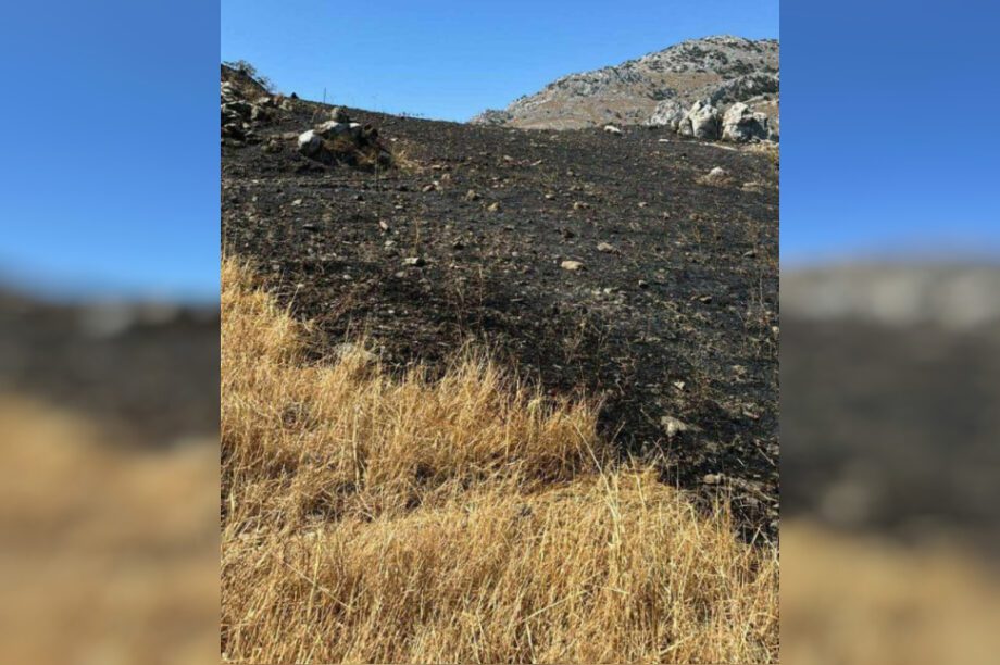 φωτιά ΄Ρεθυμνο