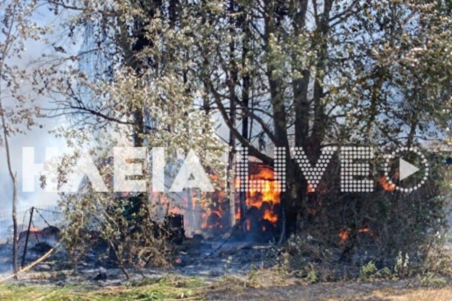 φωτιά στάβλος