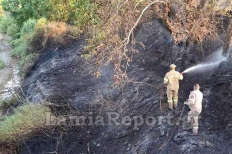 Λαμία Φωτιά