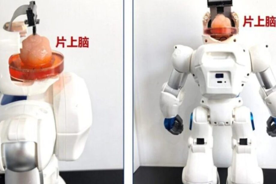 ρομπότ Κίνα