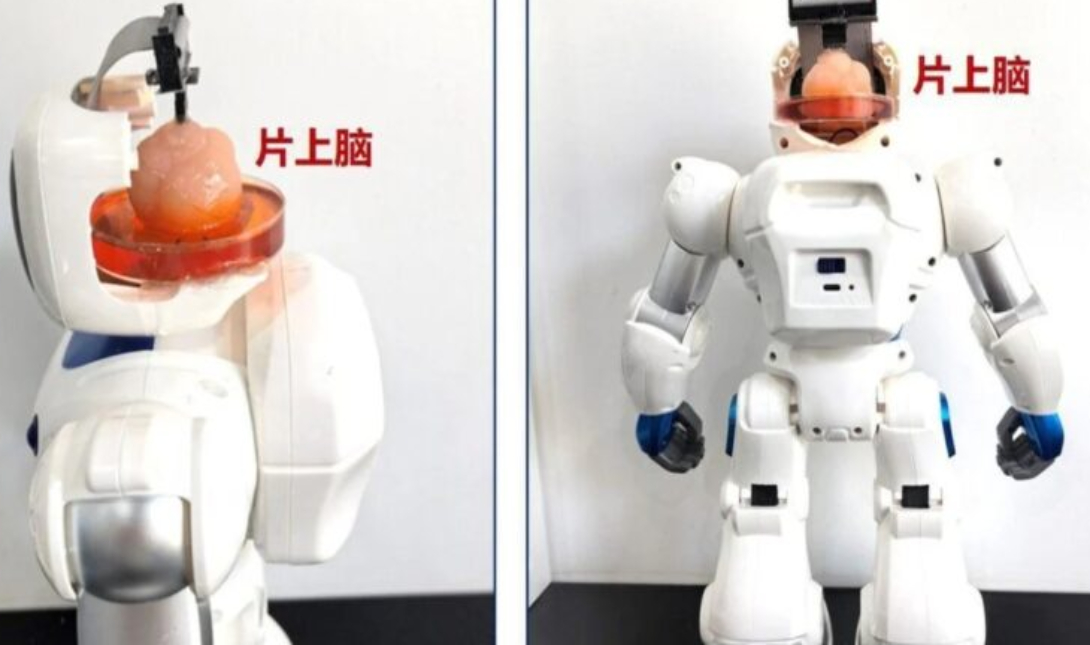 ρομπότ Κίνα