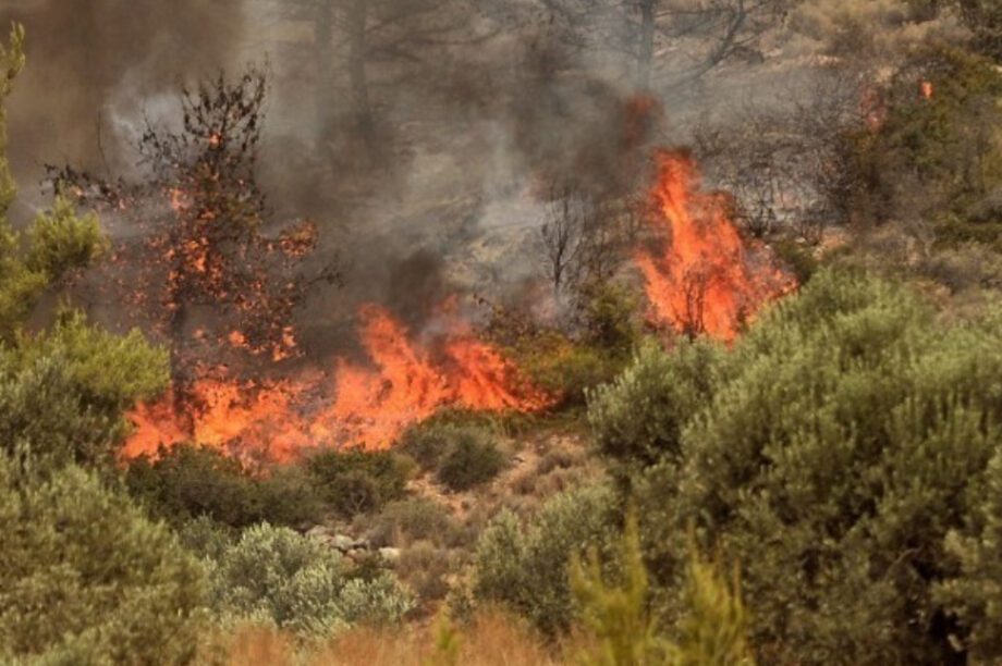 Φωτιά σε δασική έκταση στο Δαφνούδι Σερρών