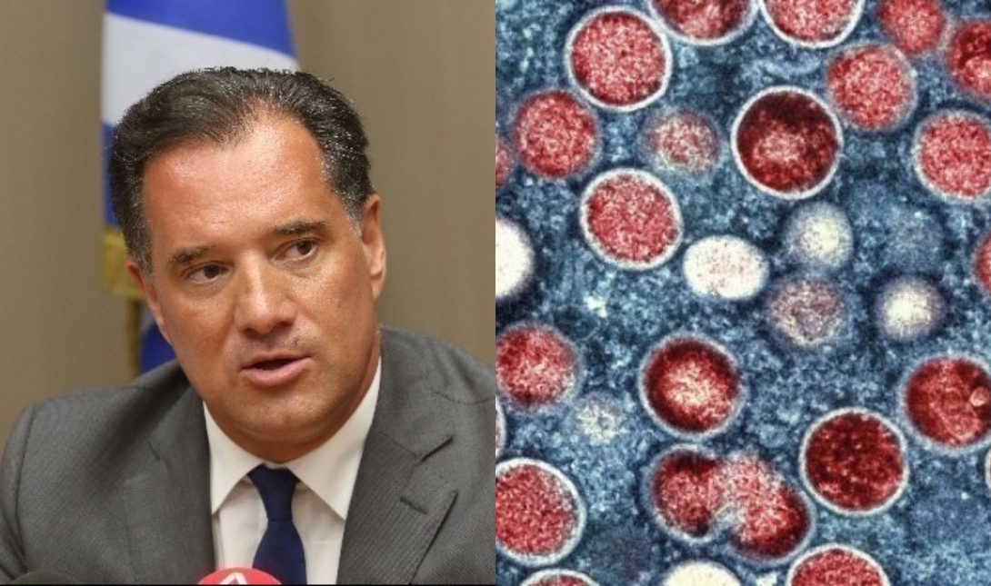 Άδωνις ευλογιά πιθήκων