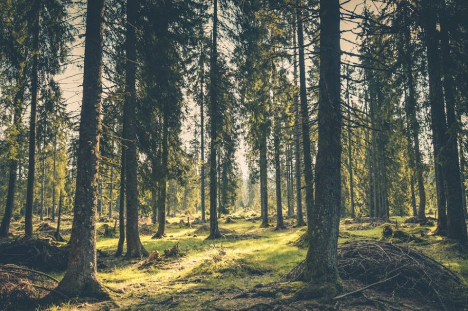 Απαγόρευση κυκλοφορίας την Κυριακή σε Θεσσαλονίκη και Κιλκίς