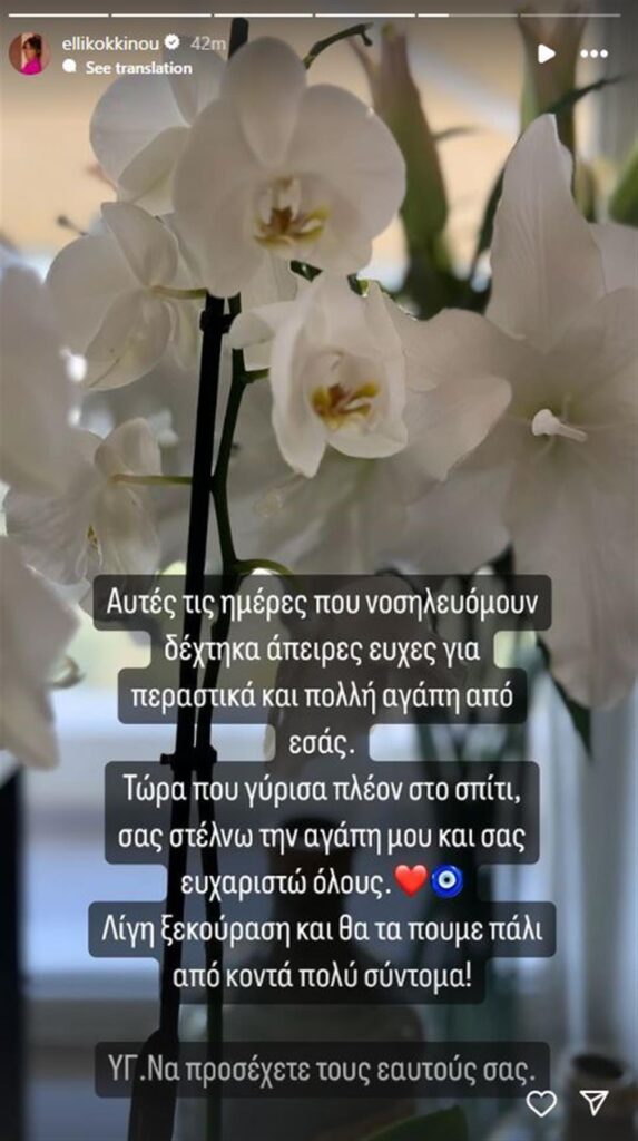 elli kokkinoy