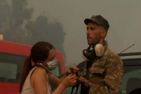 φωτιά Αττική γατάκι