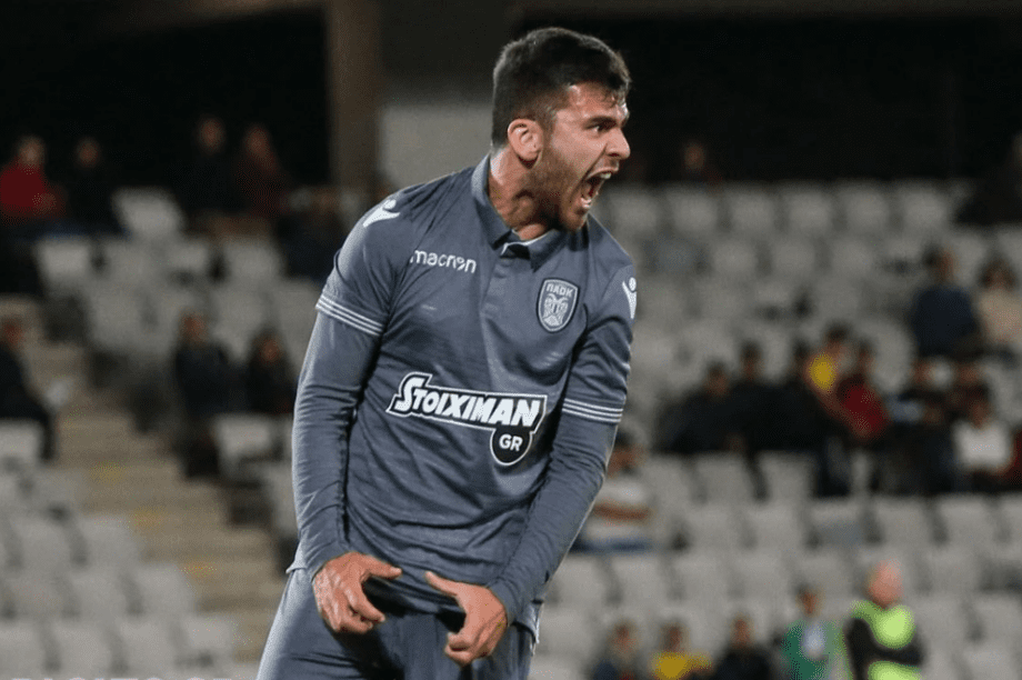 Γαϊτανίδης