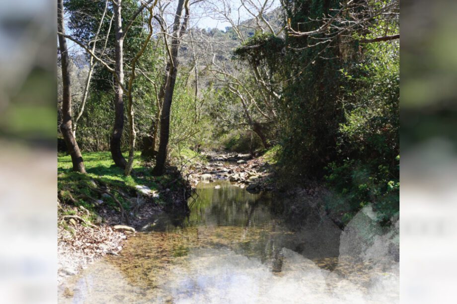 Γεωπάρκο Ψηλορείτης