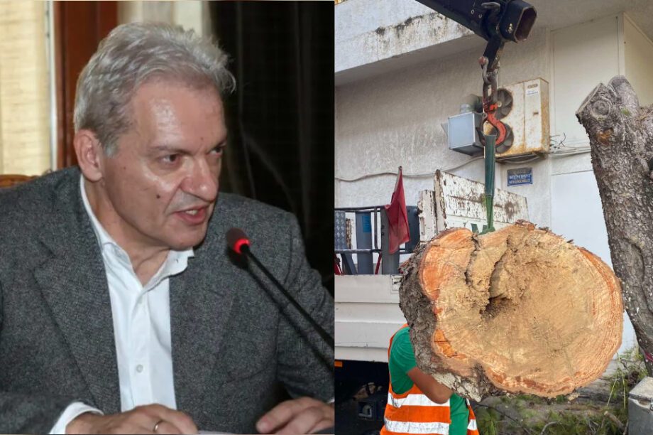 Καλοκαιρινός