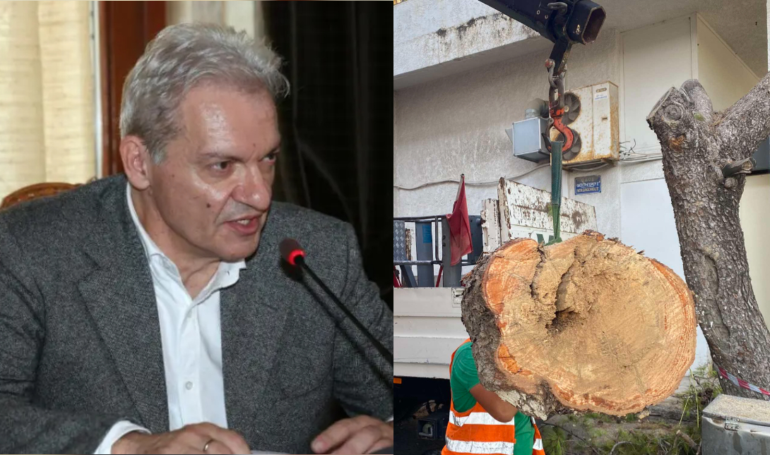 Καλοκαιρινός