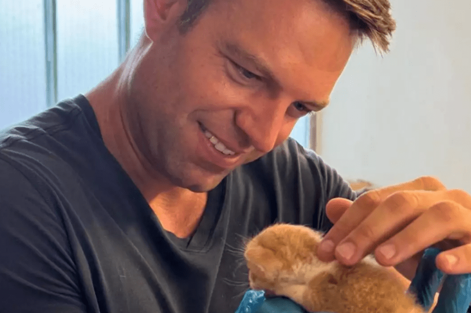 Κασσελάκης