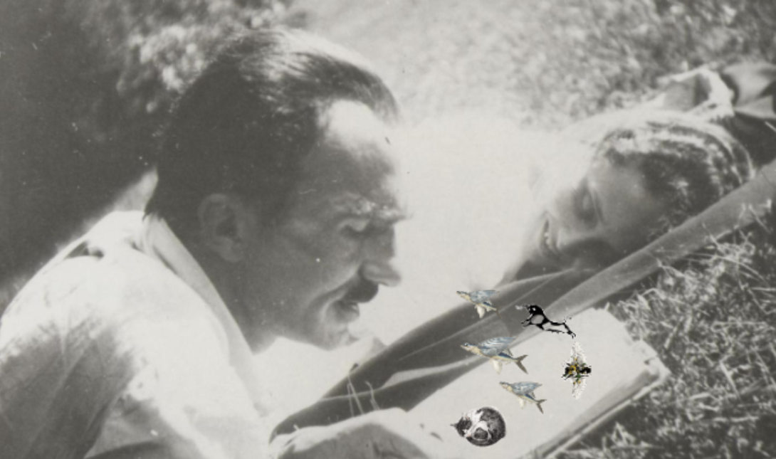 Νίκου Καζαντζάκη