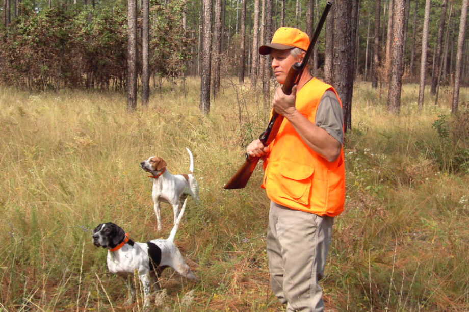 κυνηγός σκύλια