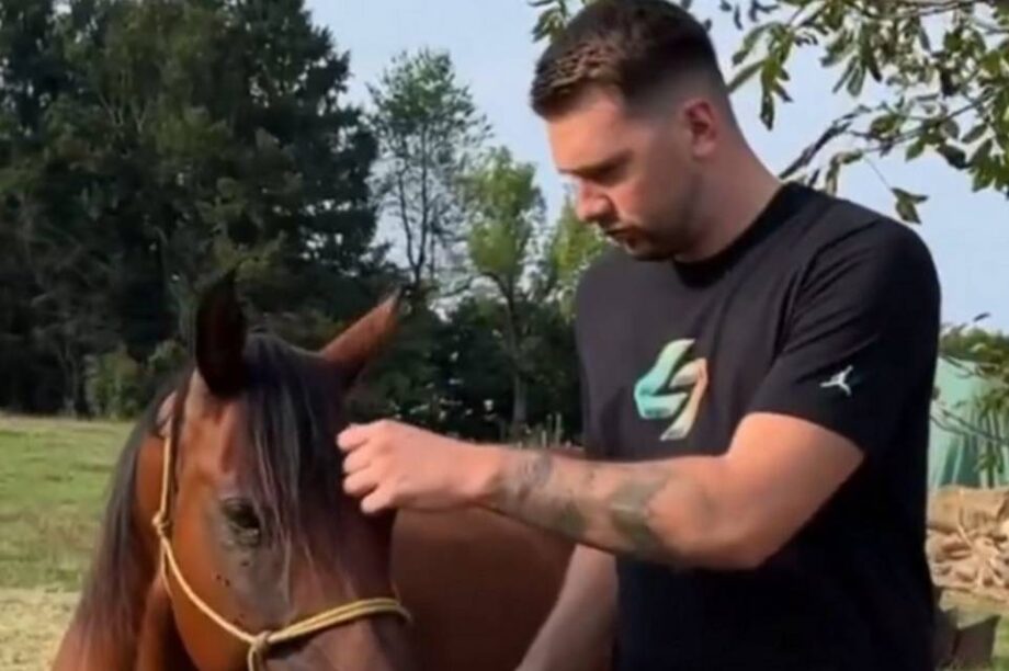 Ντόντσιτς Σλοβενία