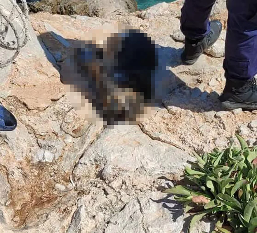 σκύλος πνιγμός
