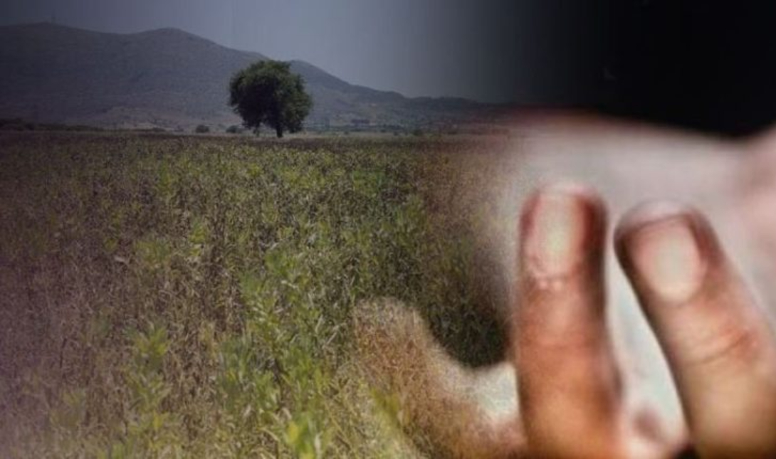 νεκρός χωράφι