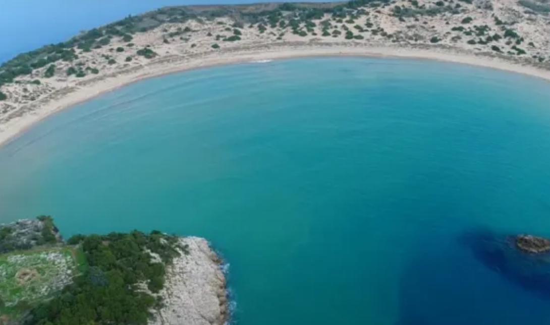 βοιδοκοιλιά