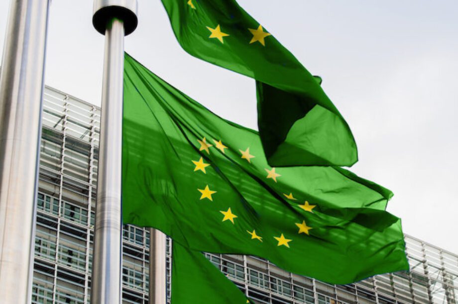 Πράσινη Πολιτική