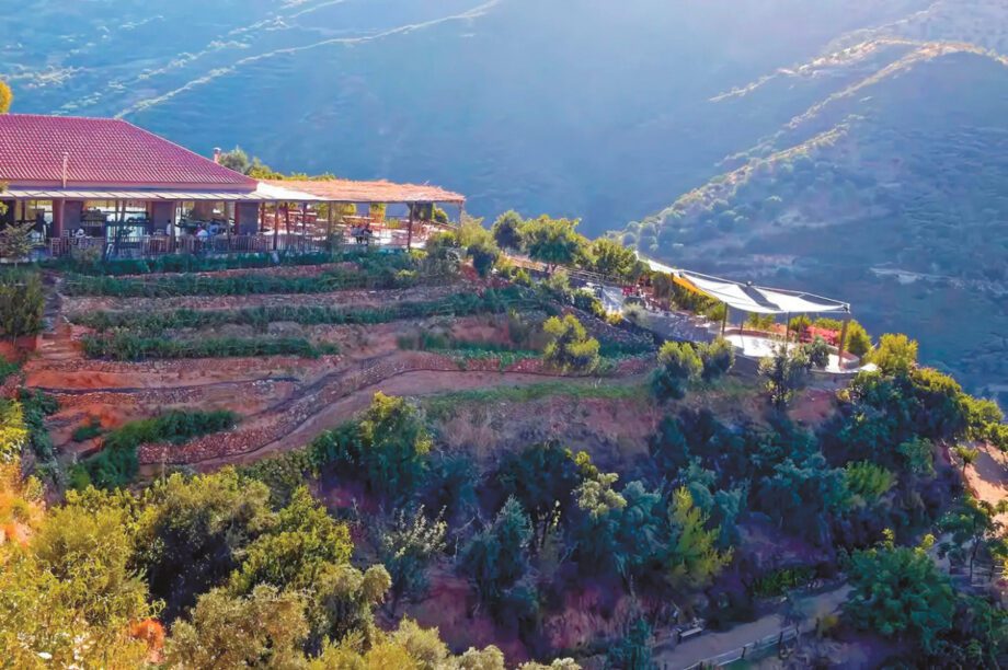 γαμος κασσελακη