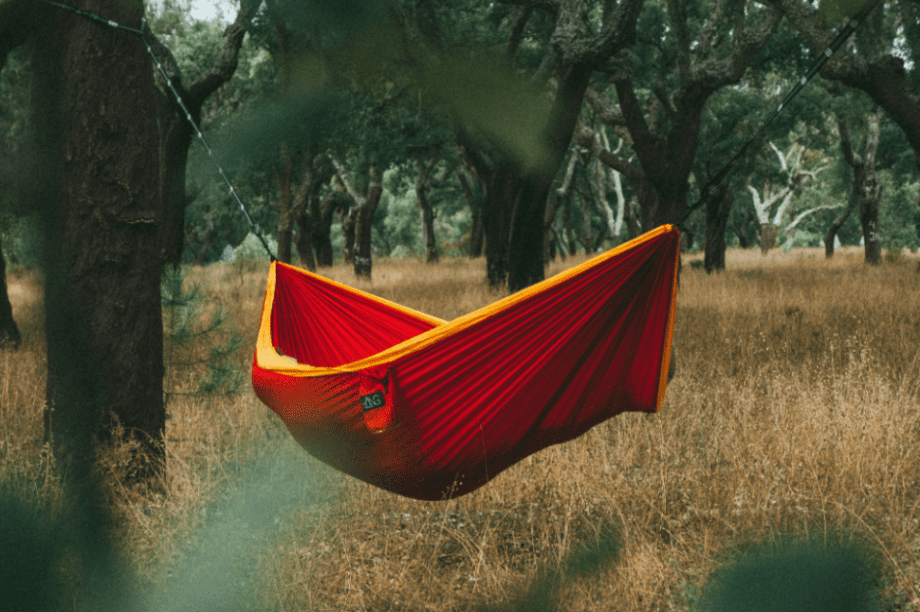 τουρισμός ελιες